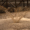 Cattle Farm Wastewater Treatment