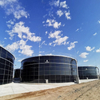 Biogas Anaerobic Digester