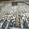 Chicken Farm Wastewater Treatment