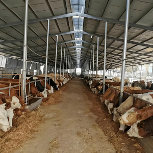 Cattle Farm Wastewater Treatment