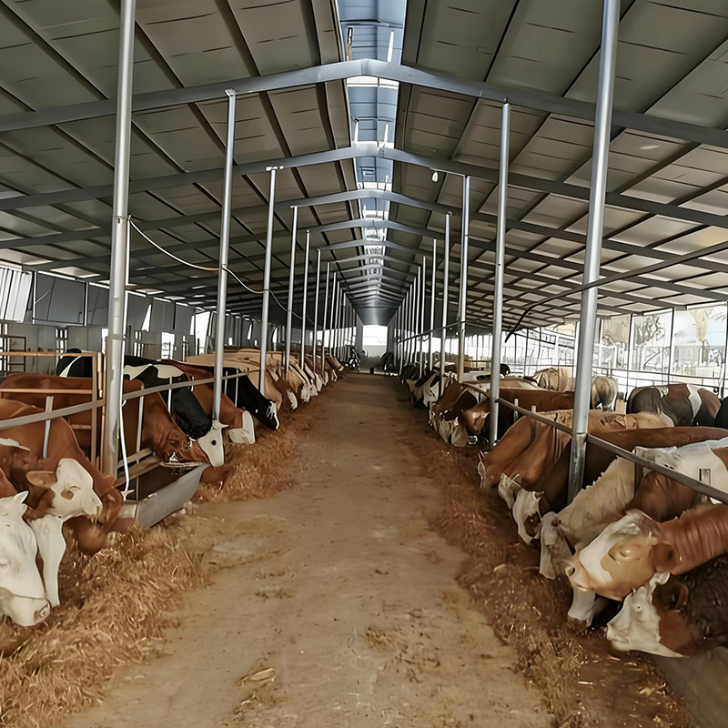 Cattle Farm Wastewater Treatment