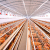 Chicken Farm Wastewater Treatment