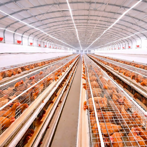 Chicken Farm Wastewater Treatment