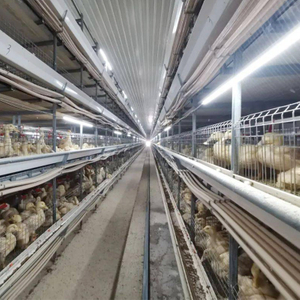 Duck Farm Wastewater Treatment