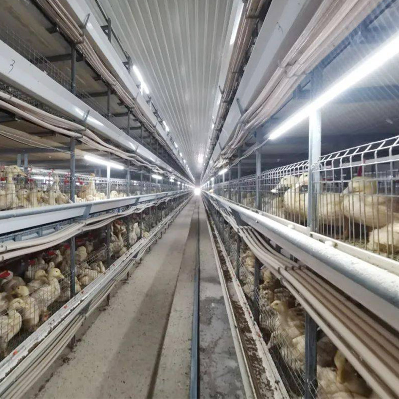 Duck Farm Wastewater Treatment