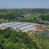 Pig Farm Wastewater Treatment